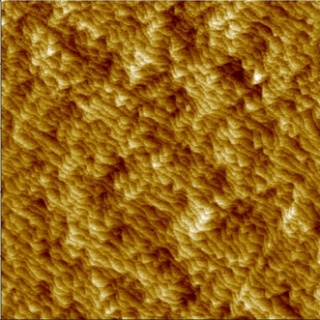 Atomic steps on GaP(Gallium Phosphide) layer on Si