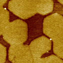 Graphene on Boron Nitride