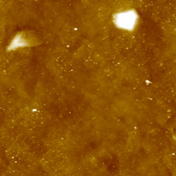 Monolayer Graphene on PDMS Surface 