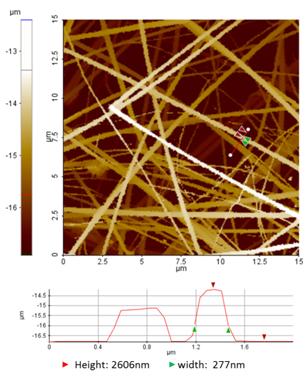 14-SICM-image-suspended-collagen-fibrils-1