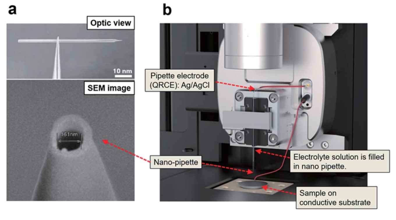 app90 fig01