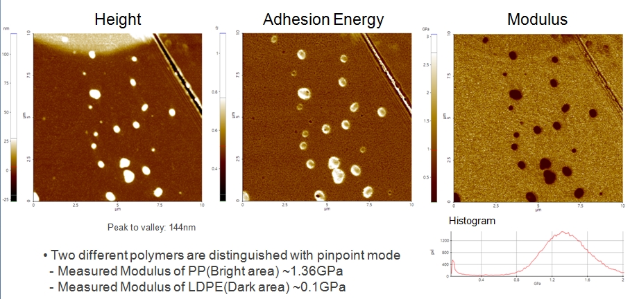 PPLDPE polymer blend 2