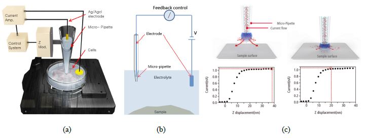 160710-scanning-ion-conductance-microscopy