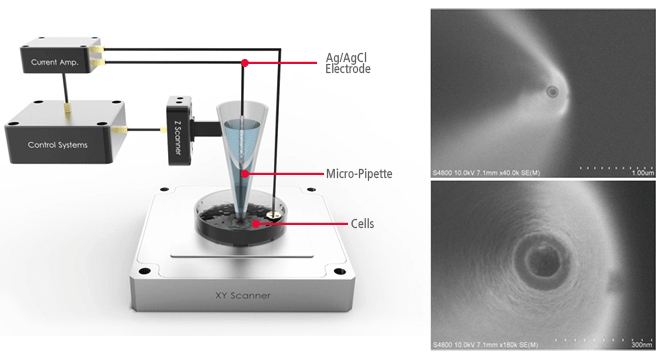 park-sicm-pipette