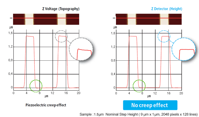 Sample-Topography-Measured-by-Low-Noise-Z-Detector