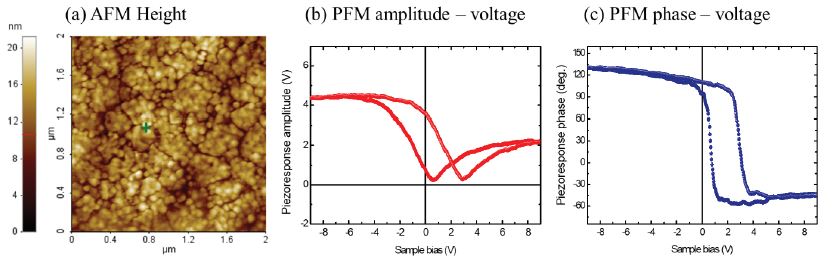 pfm 6