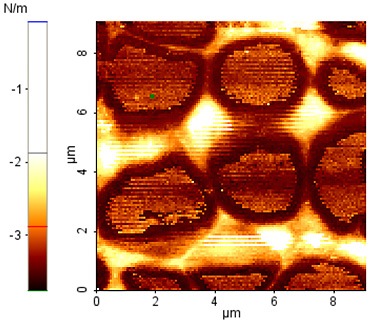 Force-Volume-Imaging